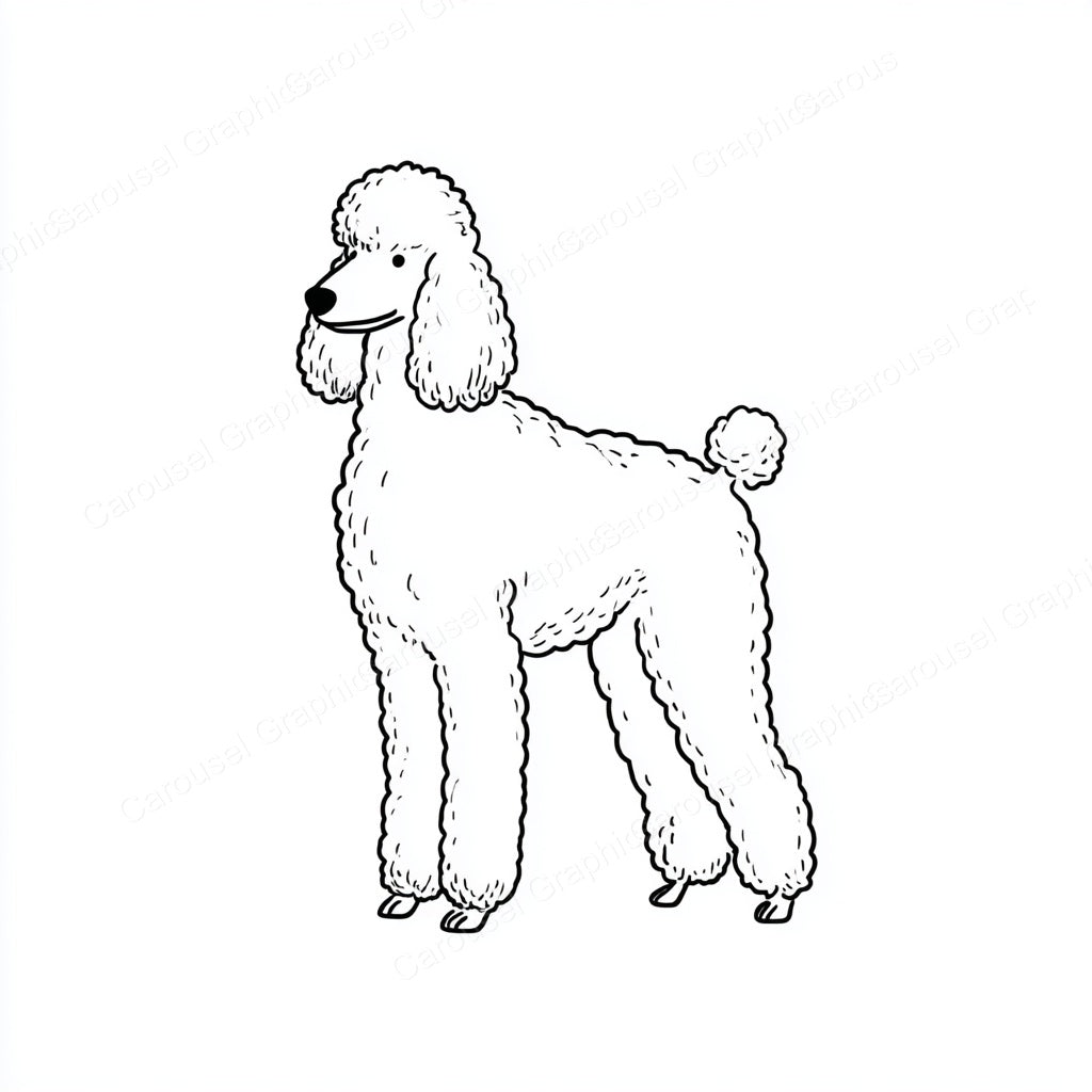 Poodle Vector Graphic preview