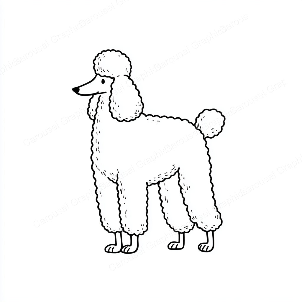 Poodle Vector Graphic preview