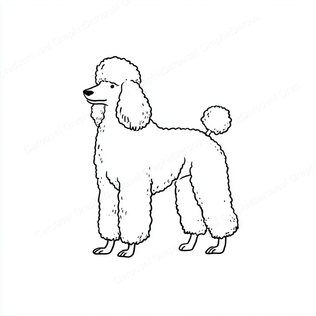 Poodle Vector Graphic preview