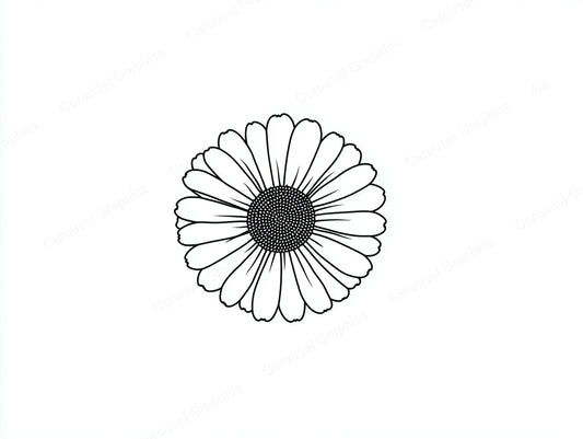 Daisy Vector Graphic preview
