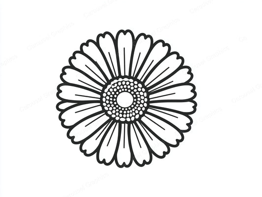 Daisy Vector Graphic preview