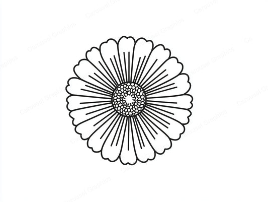 Daisy Vector Graphic preview