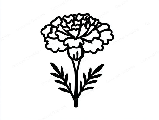 Marigold Vector Graphic preview
