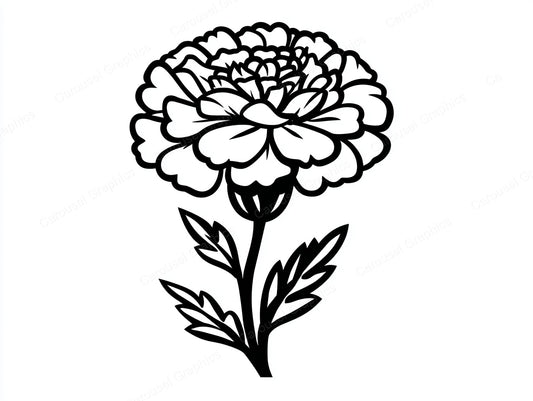 Marigold Vector Graphic preview