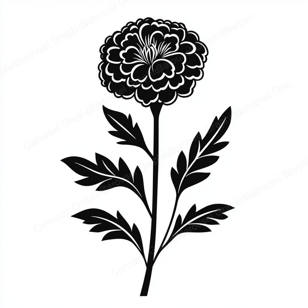 Marigold Vector Graphic preview