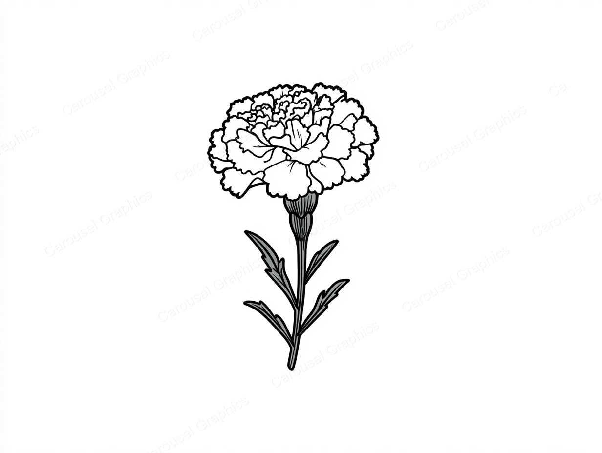 Marigold Vector Graphic preview