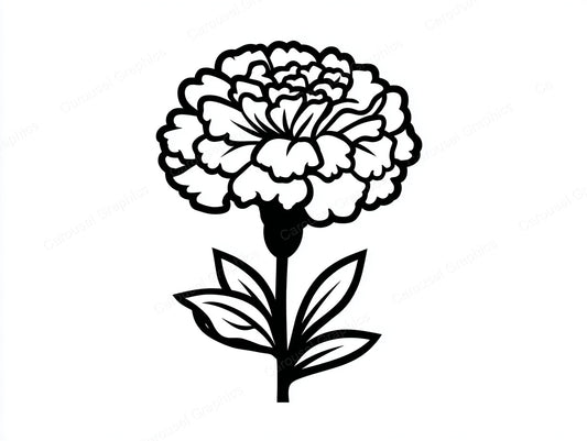 Marigold Vector Graphic preview