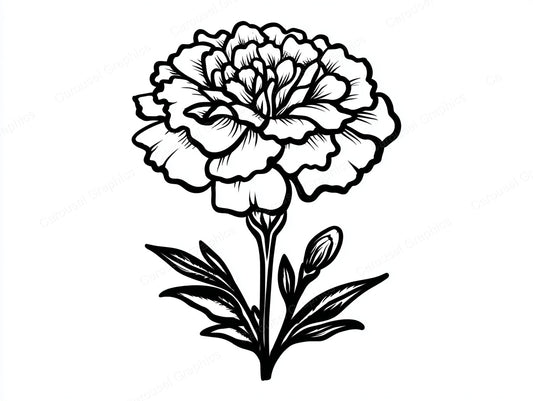 Marigold Vector Graphic preview