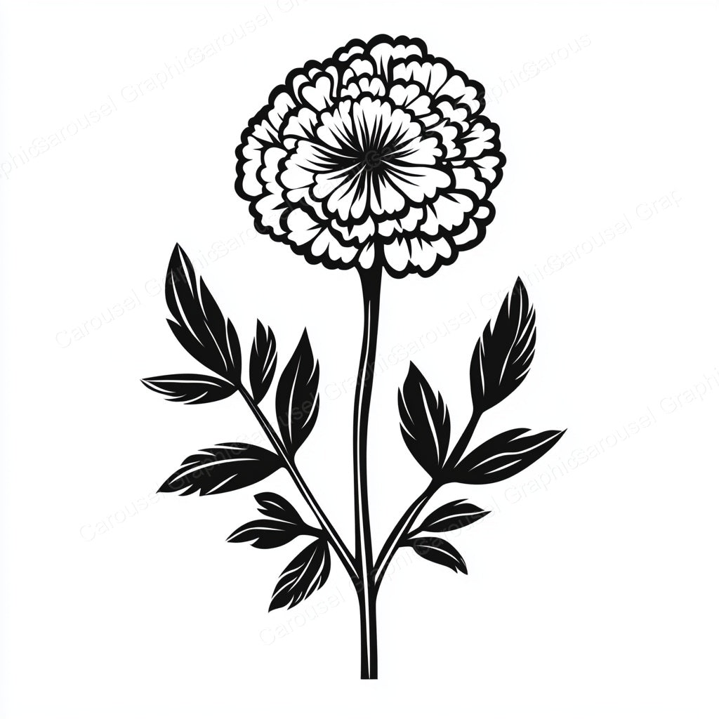 Marigold Vector Graphic preview