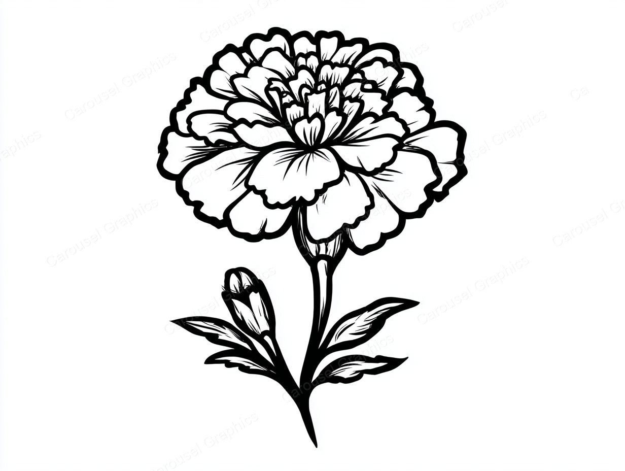 Marigold Vector Graphic preview