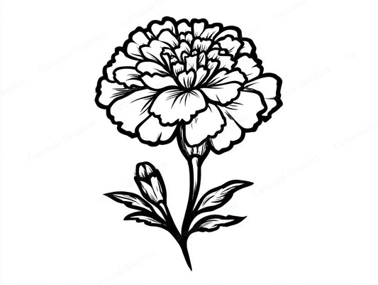 Marigold Vector Graphic preview