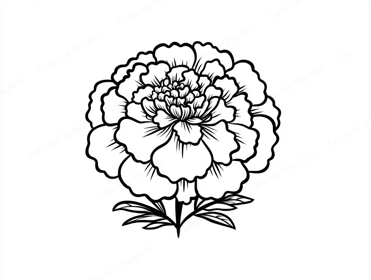 Marigold Vector Graphic preview