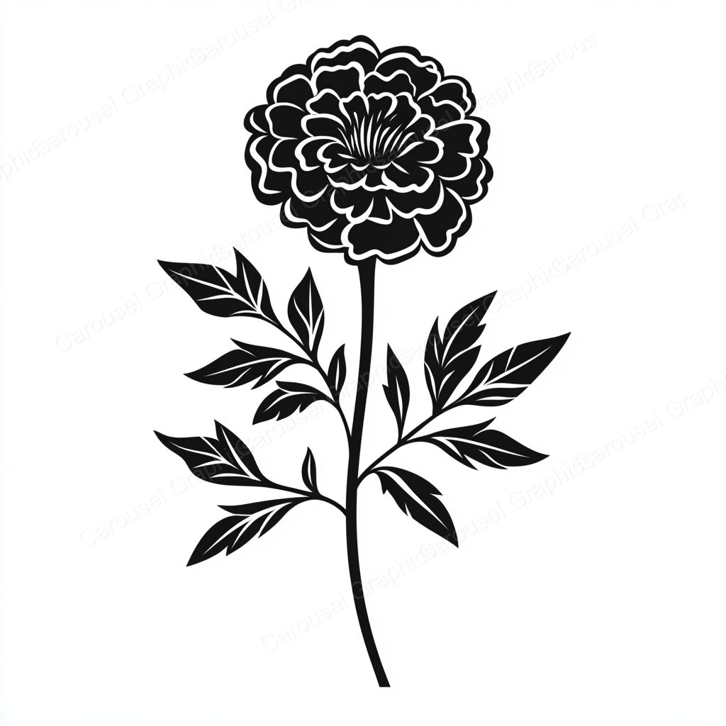 Marigold Vector Graphic preview