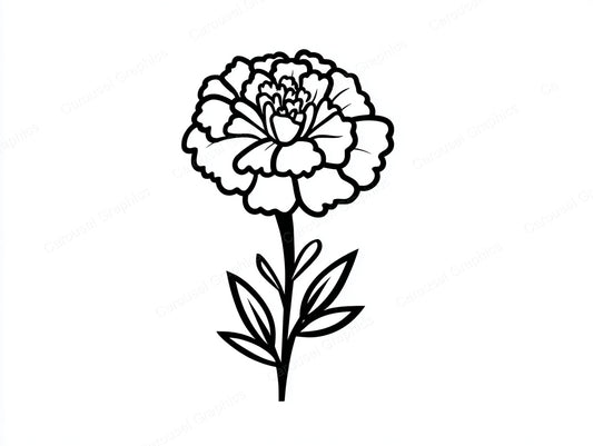 Marigold Vector Graphic preview