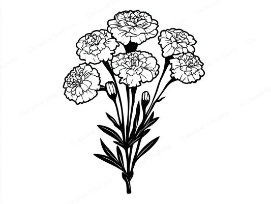 Marigold Vector Graphic preview