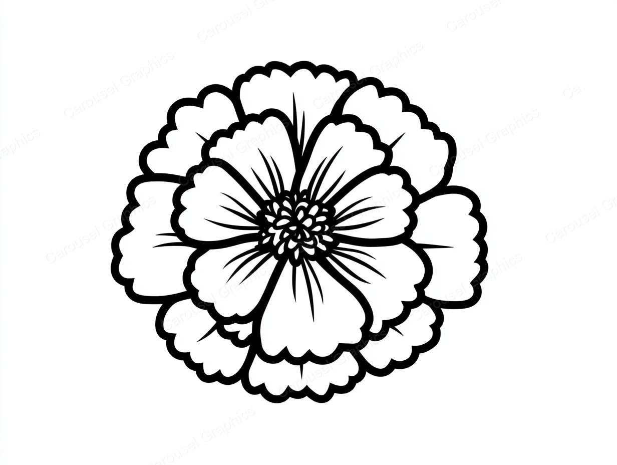 Marigold Vector Graphic preview