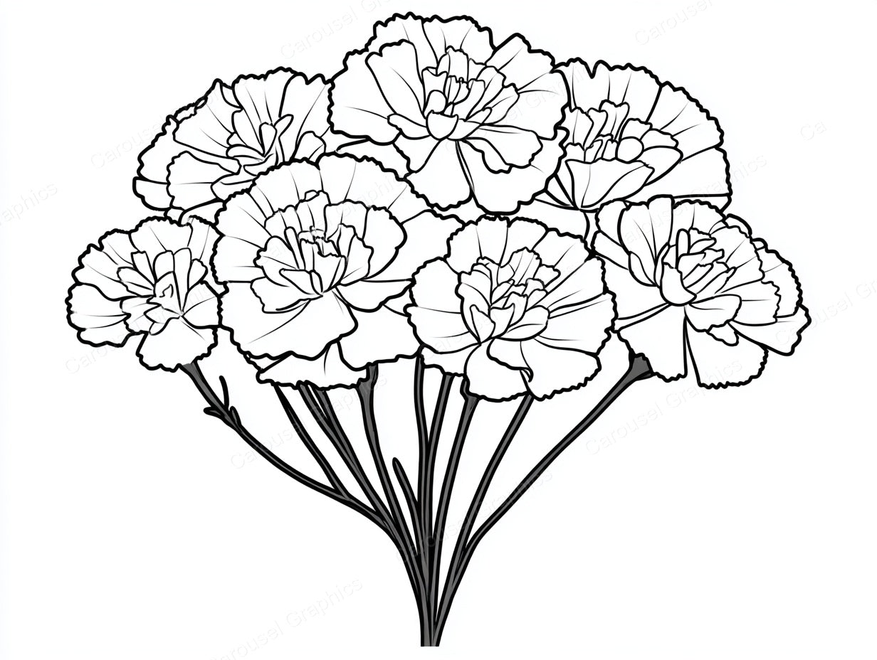 Marigold Vector Graphic preview
