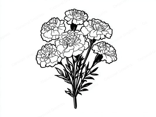Marigold Vector Graphic preview