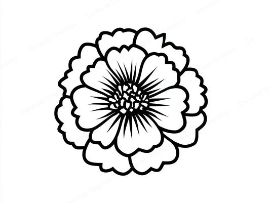 Marigold Vector Graphic preview