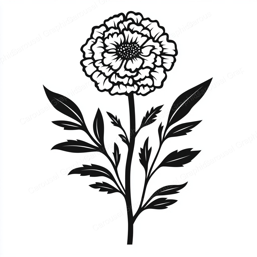 Marigold Vector Graphic preview