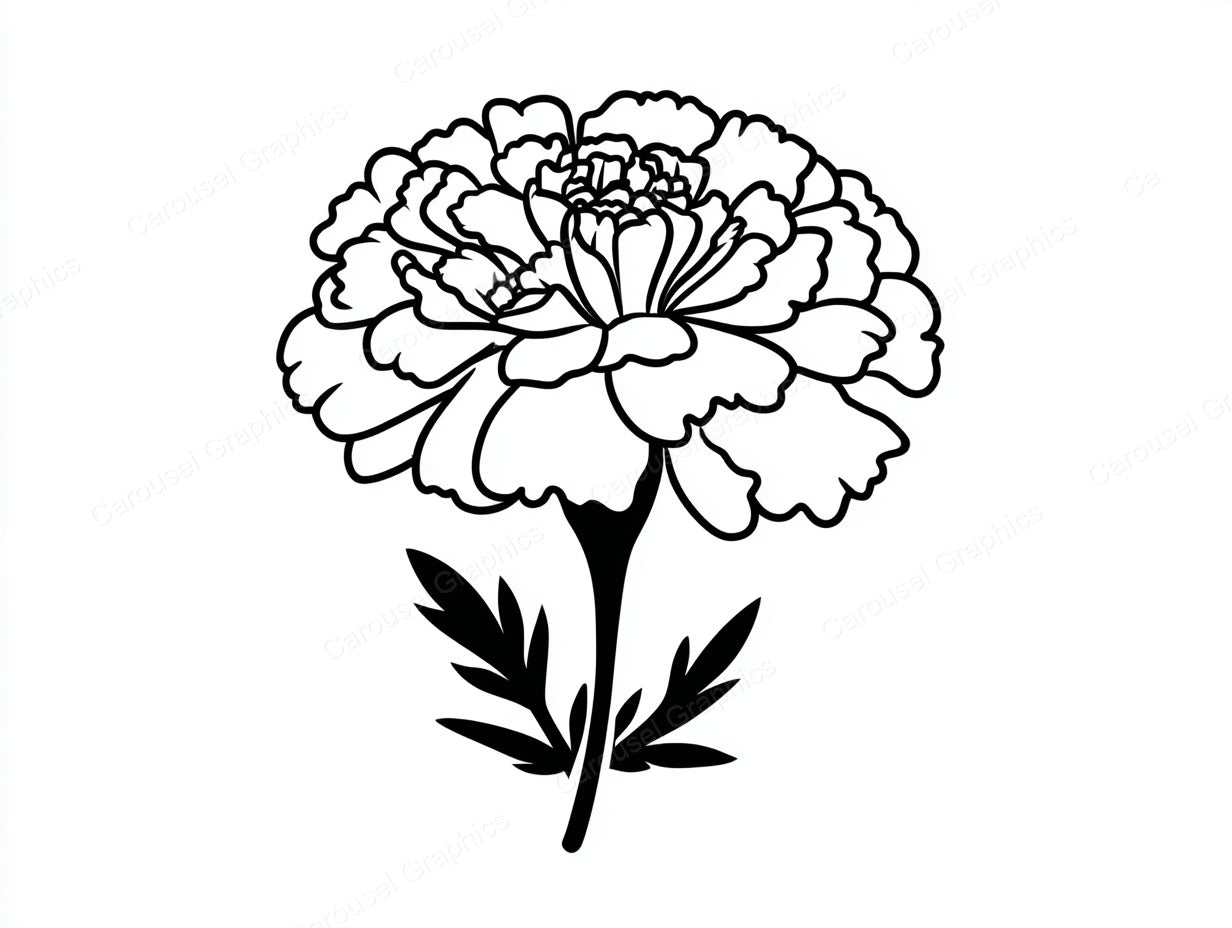 Marigold Vector Graphic preview