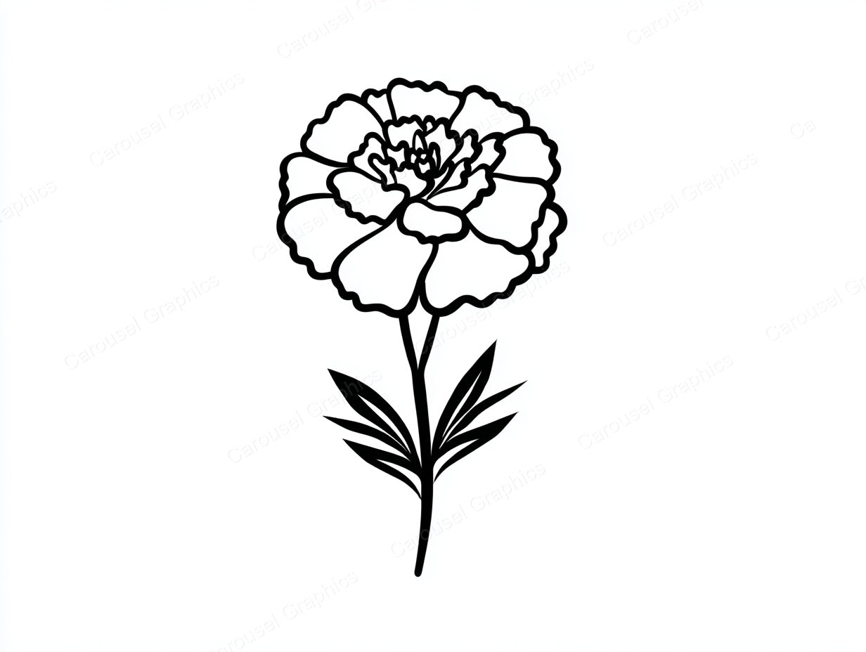 Marigold Vector Graphic preview