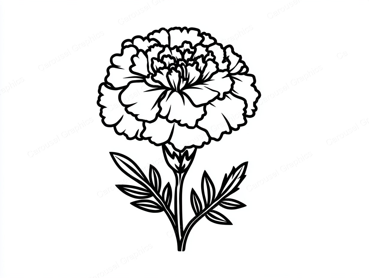 Marigold Vector Graphic preview