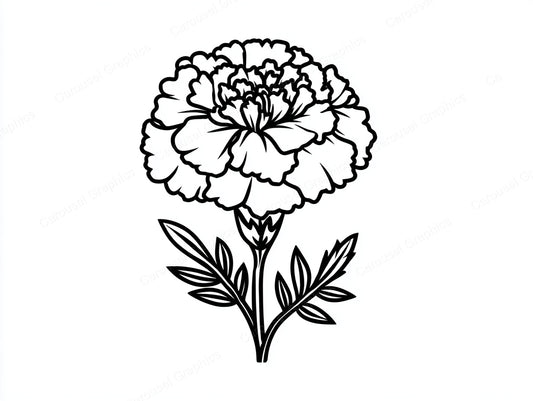 Marigold Vector Graphic preview