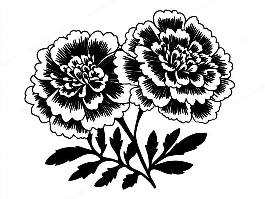 Marigold Vector Graphic preview