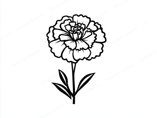 Marigold Vector Graphic preview