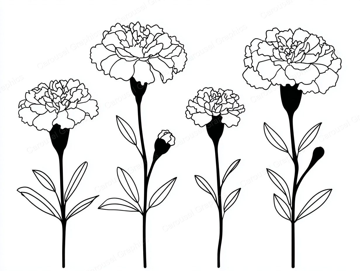 Marigold Vector Graphic preview