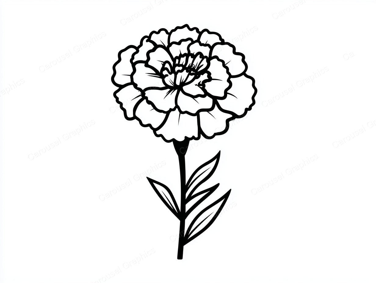 Marigold Vector Graphic preview