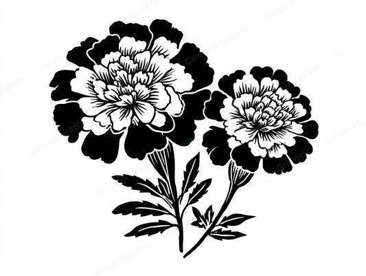 Marigold Vector Graphic preview