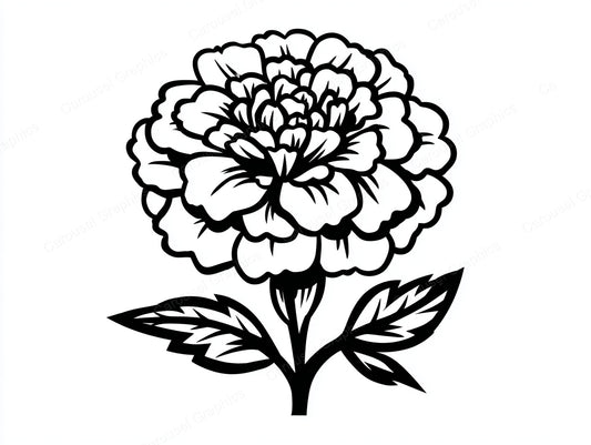 Marigold Vector Graphic preview