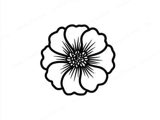 Marigold Vector Graphic preview