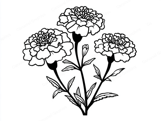 Marigold Vector Graphic preview
