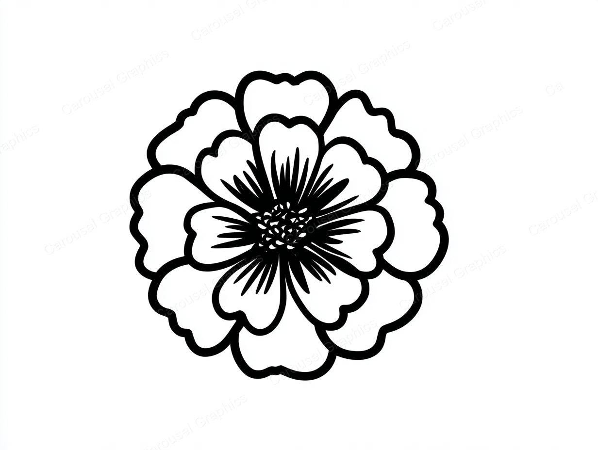Marigold Vector Graphic preview