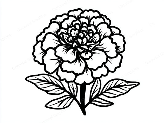 Marigold Vector Graphic preview