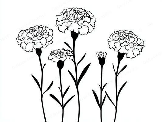 Marigold Vector Graphic preview
