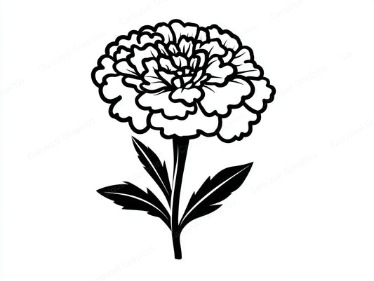 Marigold Vector Graphic preview