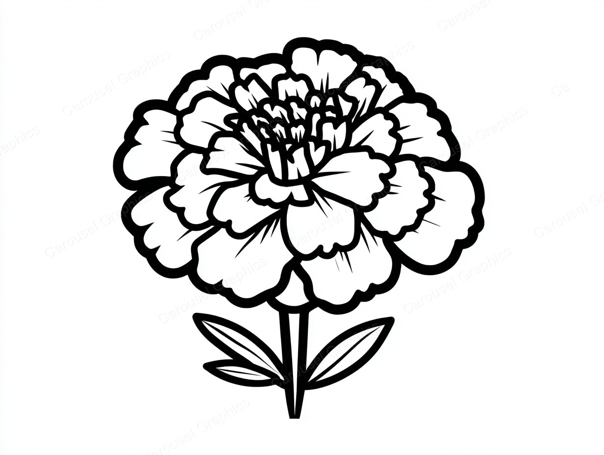 Marigold Vector Graphic preview