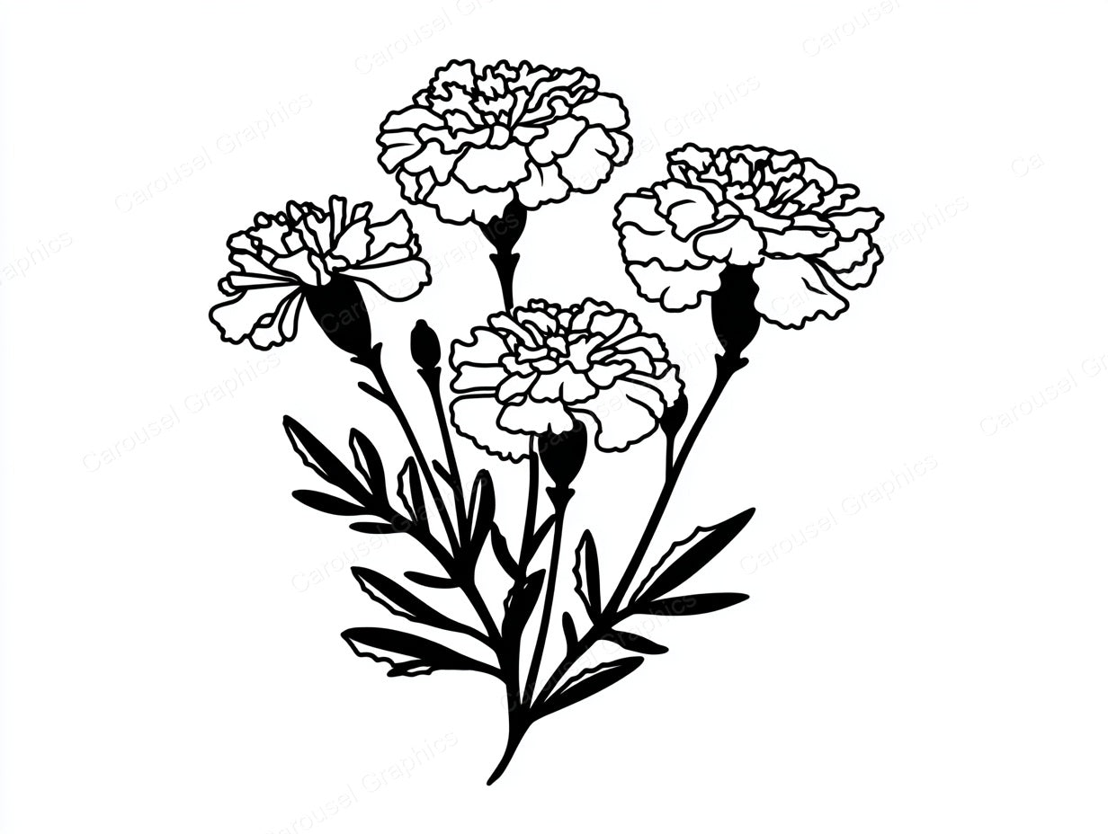 Marigold Vector Graphic preview