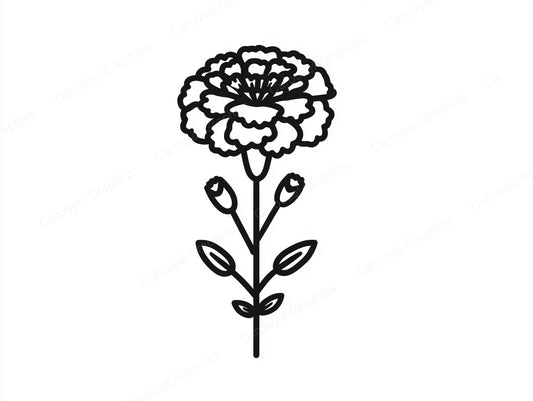 Marigold Vector Graphic preview