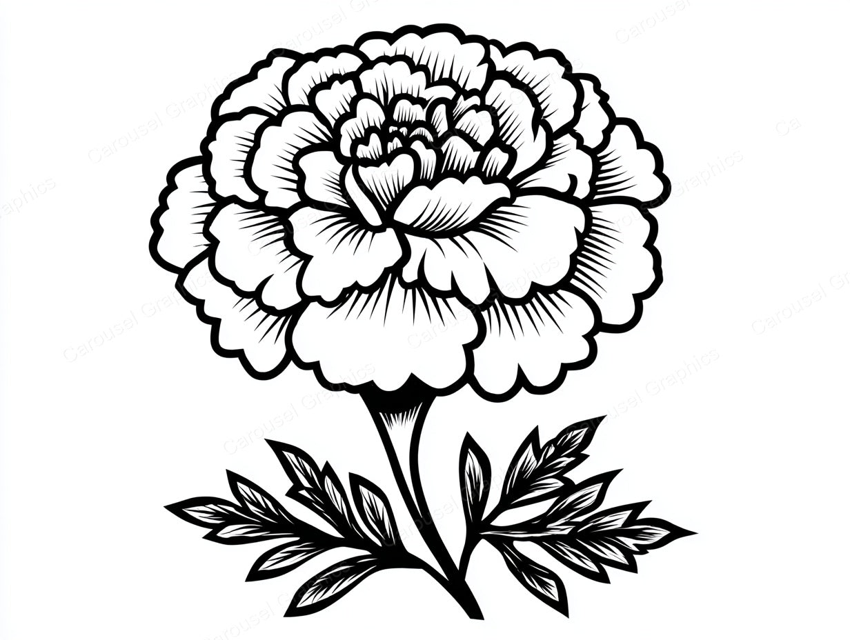 Marigold Vector Graphic preview