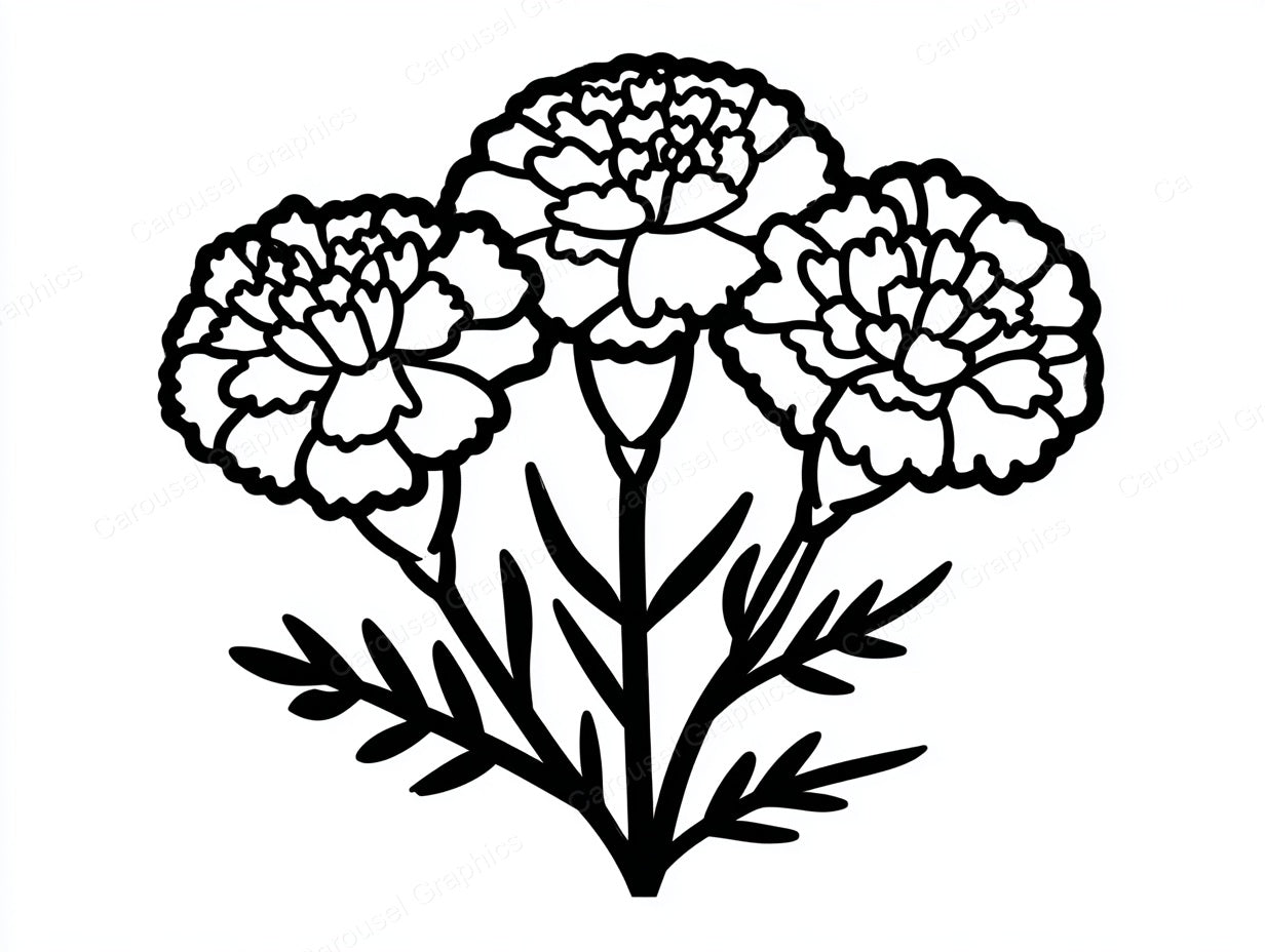 Marigold Vector Graphic preview