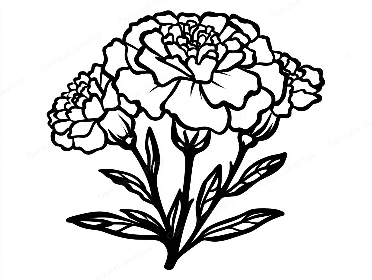 Marigold Vector Graphic preview