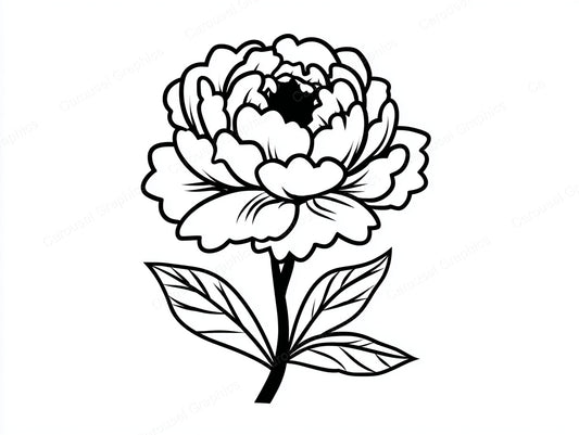 Peony Vector Graphic preview