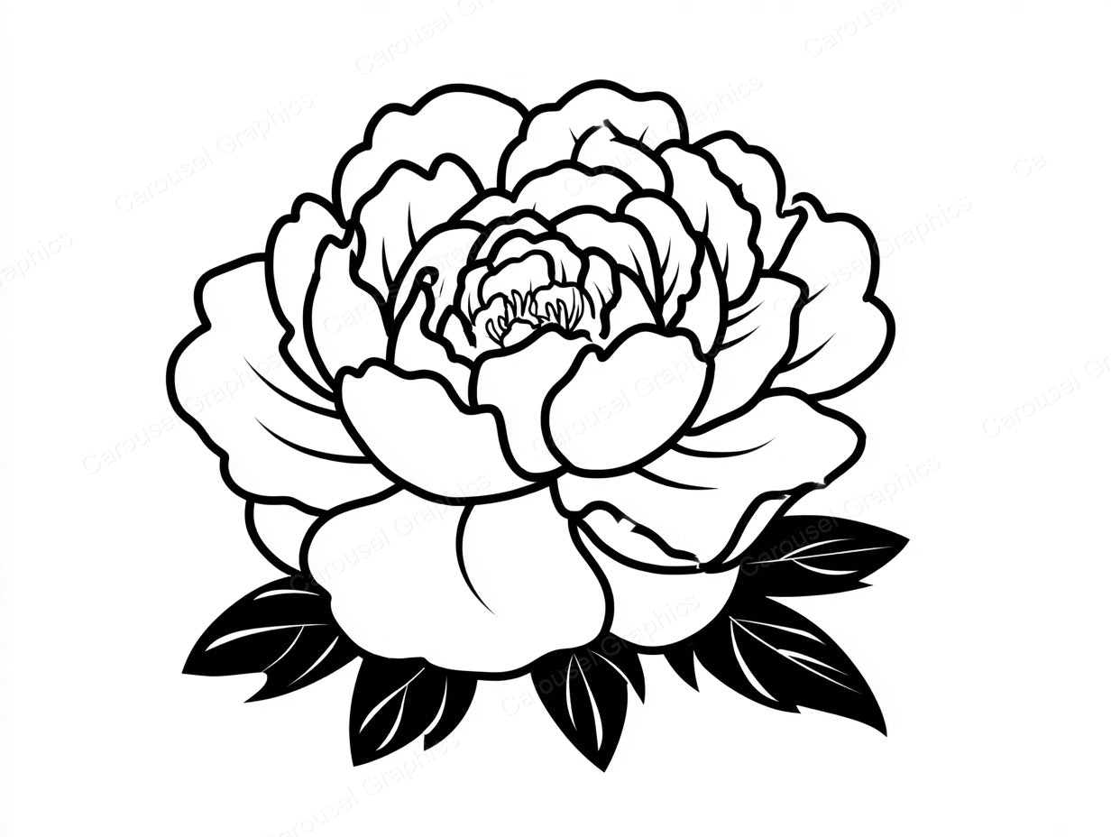 Peony Vector Graphic preview