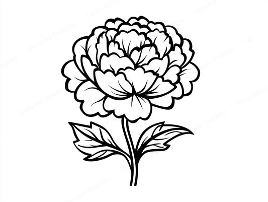 Peony Vector Graphic preview