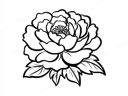 Peony Vector Graphic preview